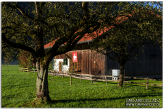 Meiringen2017_13