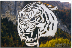 Meiringen2017_38
