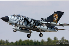 lechfeld_2008_03