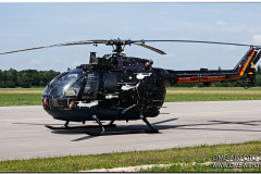 lechfeld_2008_06