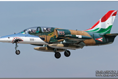 lechfeld_2008_08