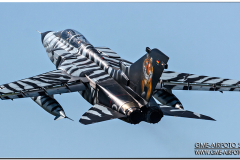 lechfeld_2008_13