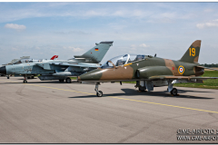 lechfeld_2008_19