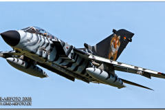 lechfeld_2008_21