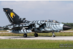 lechfeld_2008_25