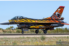 NTM16_42