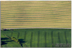 airborne2014_07