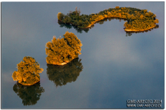 airborne2014_46