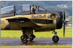 Airpower2019_28