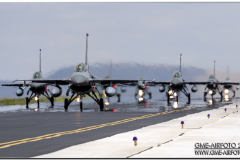 AnatolianEagle2016_04