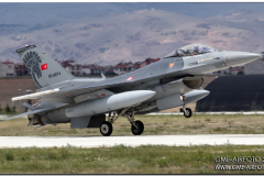 AnatolianEagle2016_05