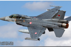 AnatolianEagle2016_07