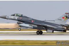 AnatolianEagle2016_16