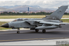 AnatolianEagle2016_20