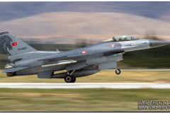 AnatolianEagle2016_31