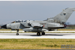 AnatolianEagle2016_39