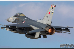 AnatolianEagle2016_42
