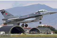 AnatolianEagle2016_45