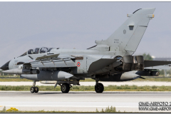 AnatolianEagle2016_46