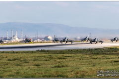 AnatolianEagle2016_48