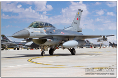 AnatolianEagle2022_14