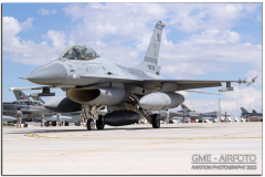 AnatolianEagle2022_71