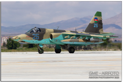 AnatolianEagle2023_03