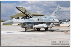 AnatolianEagle2023_05