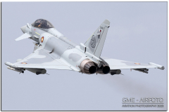 AnatolianEagle2023_19