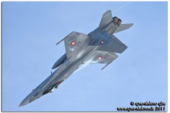 axalp201129