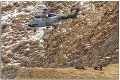 Axalp2021_31