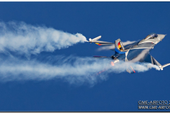 BAFDays2014_22