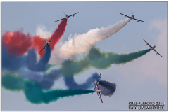 BAFDays2014_31