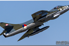 BAFDays2014_40