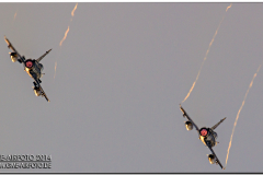 BAFDays2014_52