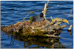 lechfeld_2022_12