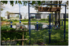 ghedi_2013_08
