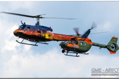 EDPR_2020_36