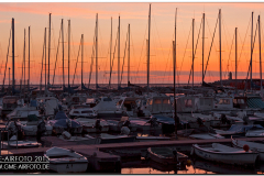 grosseto_2013_16