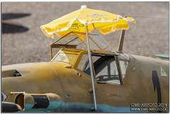 horizonairmeet2014_22