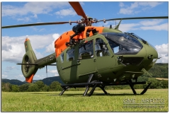 Hornberg_2021_01
