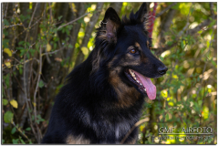 Hornberg_2024_11