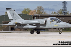 istrana_2012_31