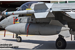 istrana_2012_37