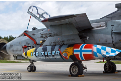 lechfeld_2012_66