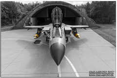 lechfeld_2012_89
