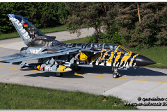 lechfeld_2012_34