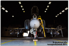 wittmund16