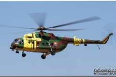 kecskemet2013_54