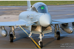 Laage2015_04.jpg